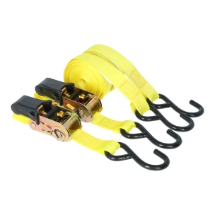 Spanngurt 5 m 2er Set