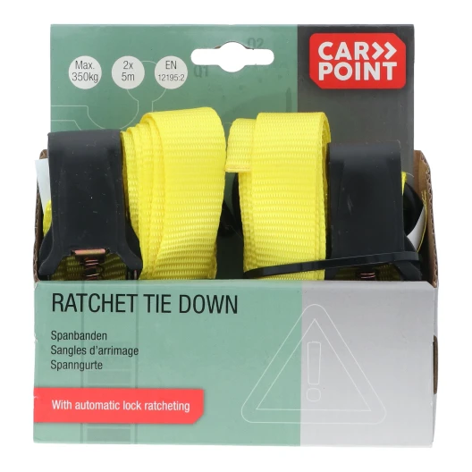 Spanngurt 5 m 2er Set