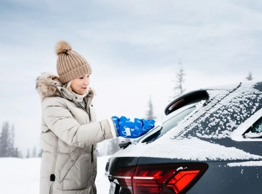 Kungs Arctic-is Ice Scraper with Glove