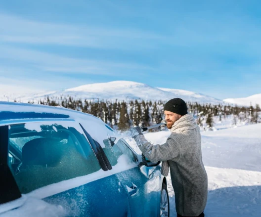 Kungs Schneebesen mit Teleskopstange