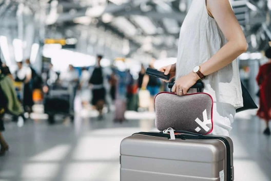Skross Mini Pillow