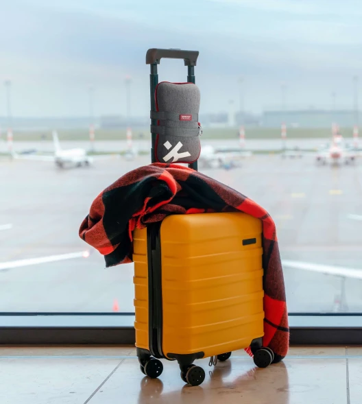 Skross Mini Pillow