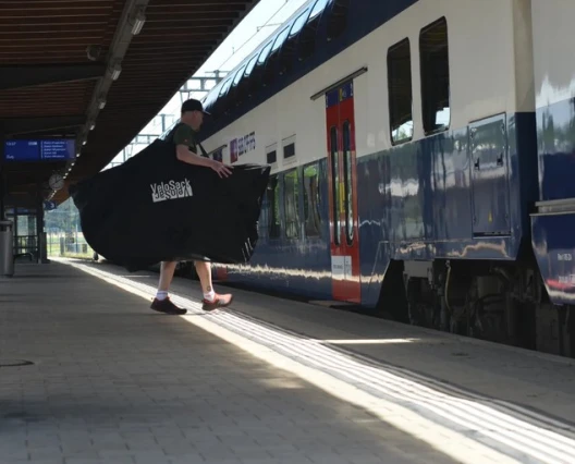 Velotransport bag up to 29"