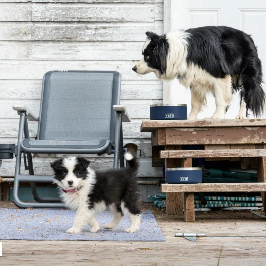 YETI Hundenapf - Boomer schwarz 0.95l.